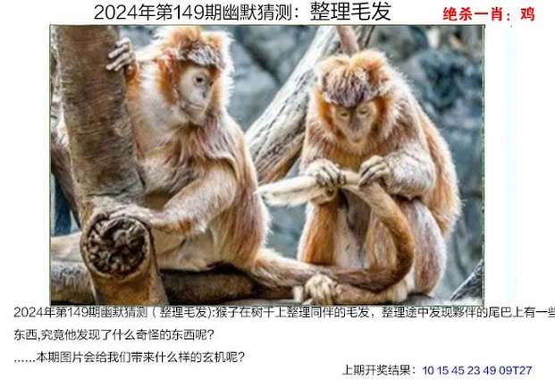 今日科普一下！澳门码头诗正版资料大全,百科词条爱好_2024最新更新